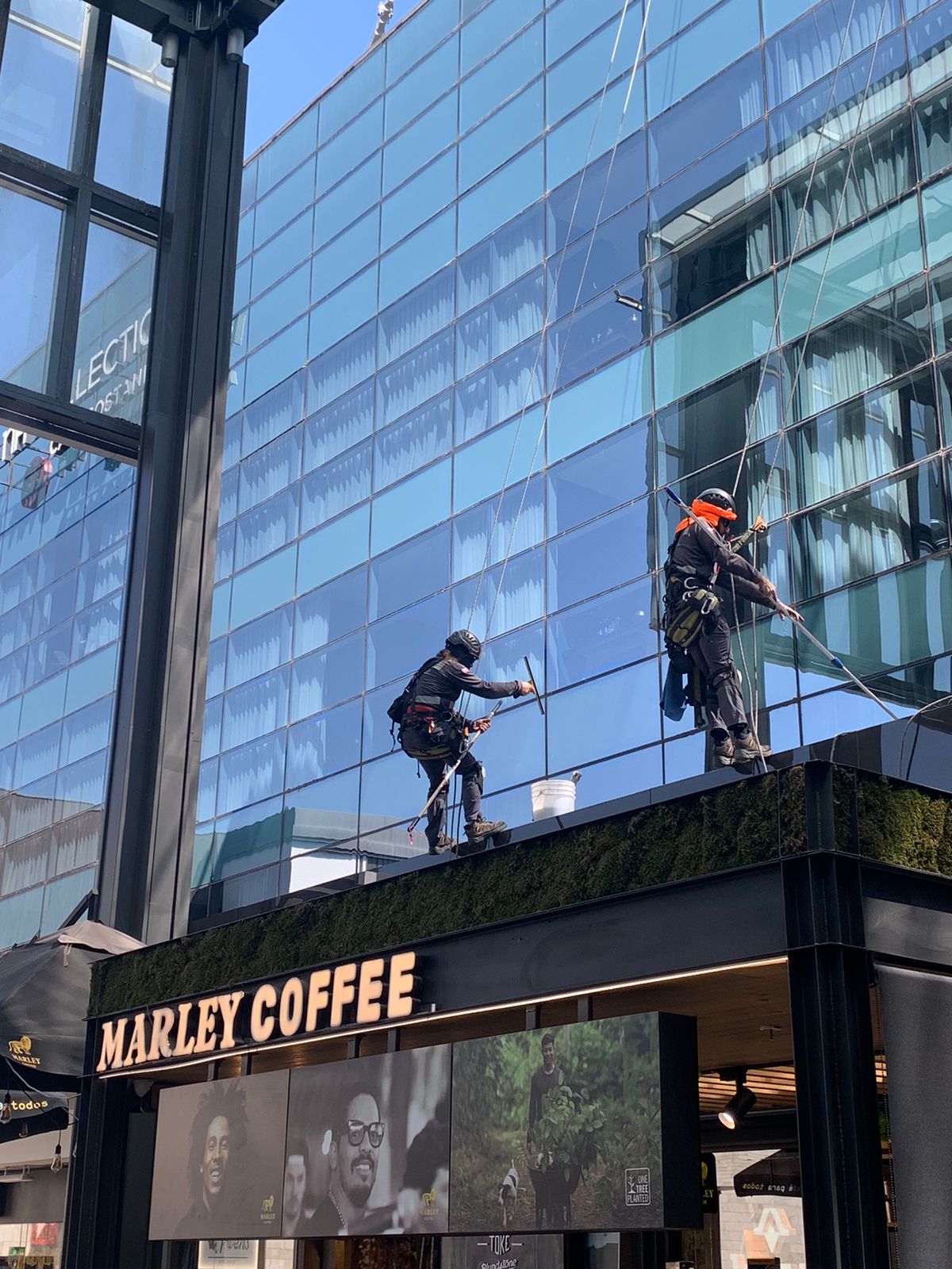 Trabajos Verticales